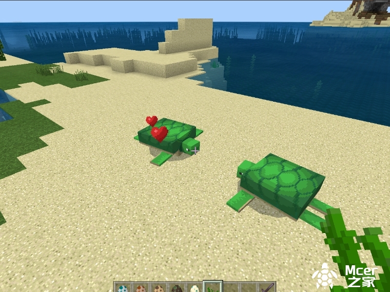 我的世界喂养海草可以驯服海龟
